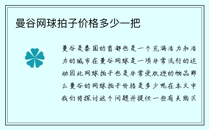 曼谷网球拍子价格多少一把