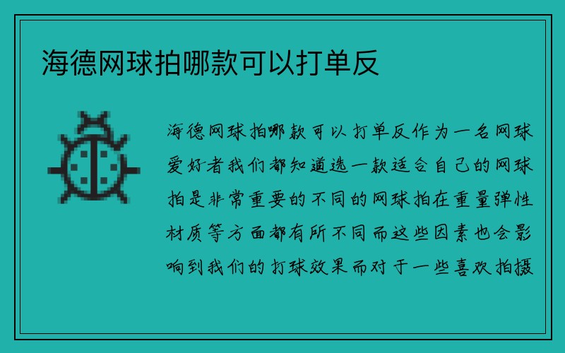 海德网球拍哪款可以打单反